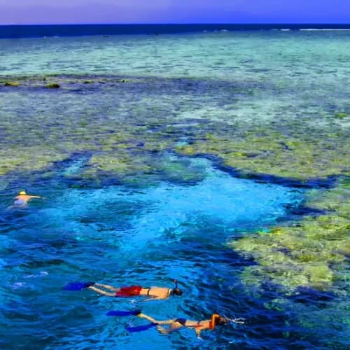 Mare di Sharm El Shiekh Mare di Sharm El Shiekh