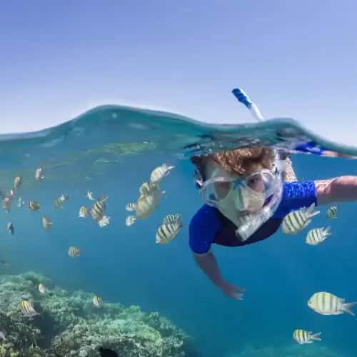 un ragazzo fa snorkeling a marsa alam , marsa alam egitto 