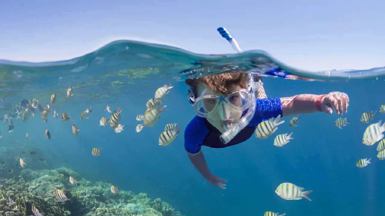 bambino a masra alam,egitto pasqua 2025 bambino a masra alam,egitto pasqua 2025