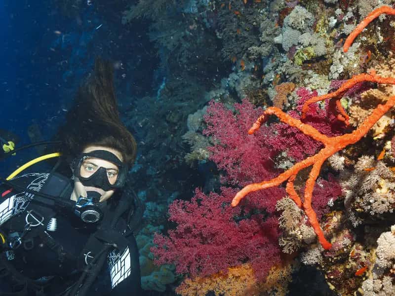 Donna che fa snorkelling a Marsa Alam, Pasqua in Egitto tour Donna che fa snorkelling a Marsa Alam, Pasqua in Egitto tour