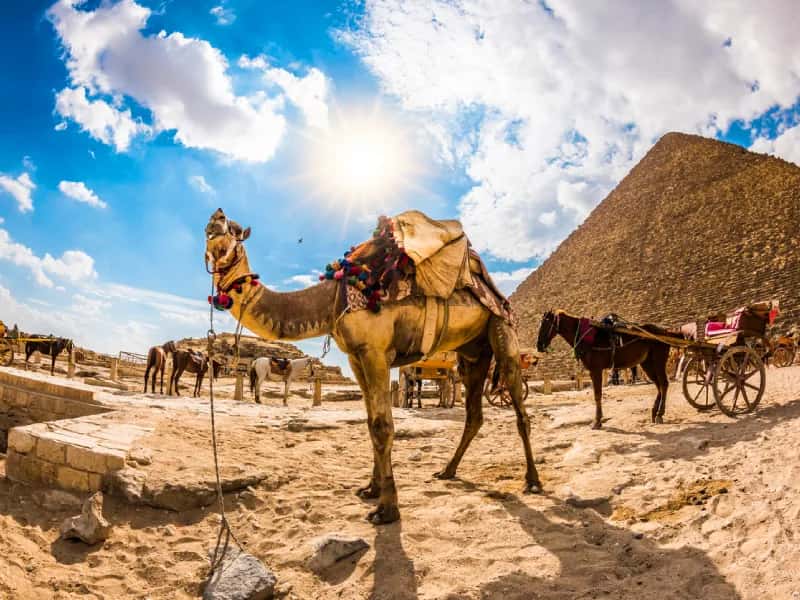 Pachetti Egitto Agosto Pachetti Egitto Agosto