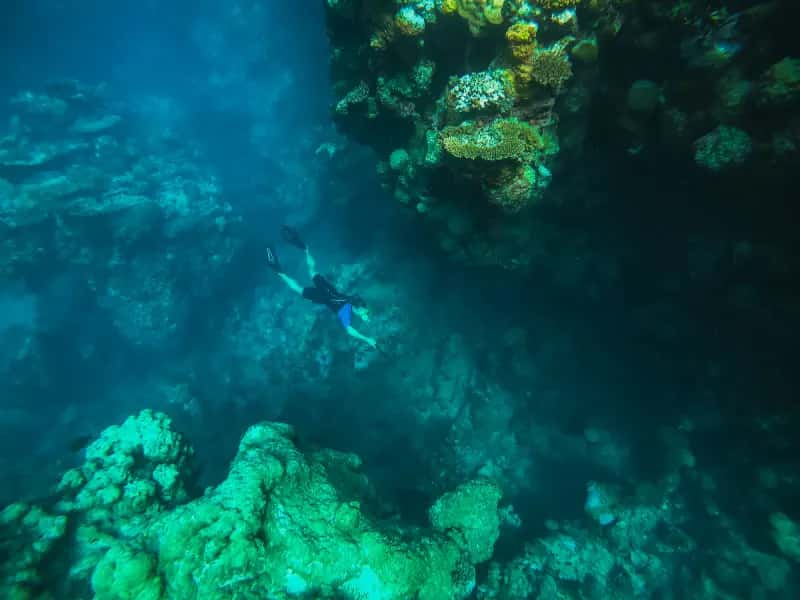 Pachetti Egitto Agosto Pachetti Egitto Agosto