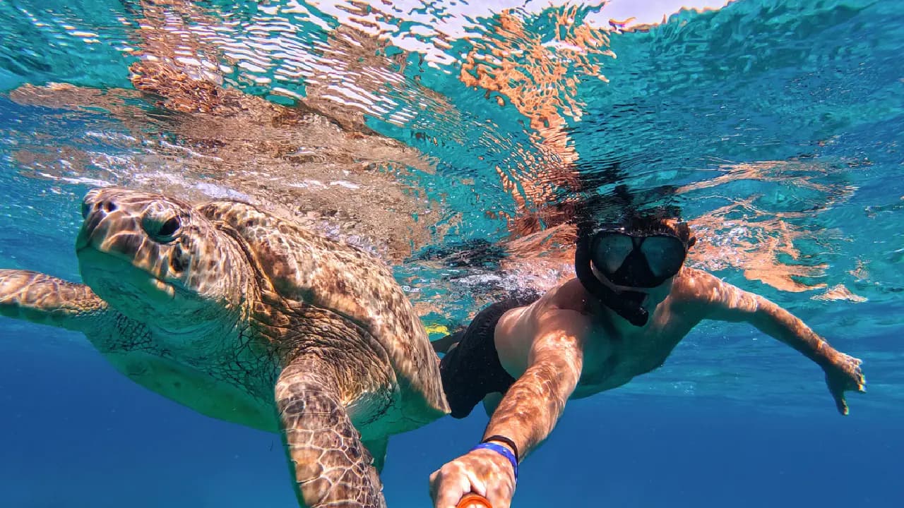 Uomo e tartaruga a Marsa Alam, egitto pasqua 2025 Uomo e tartaruga a Marsa Alam, egitto pasqua 2025