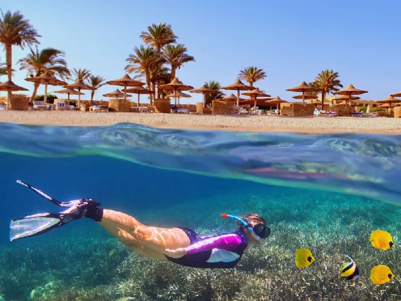 Donna cha fa Snorkelling, Offerte Egitto Pasqua Donna cha fa Snorkelling, Offerte Egitto Pasqua