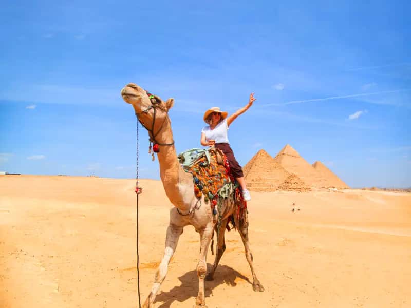 Egitto Agosto in Cairo in 5 giorni Egitto Agosto in Cairo in 5 giorni