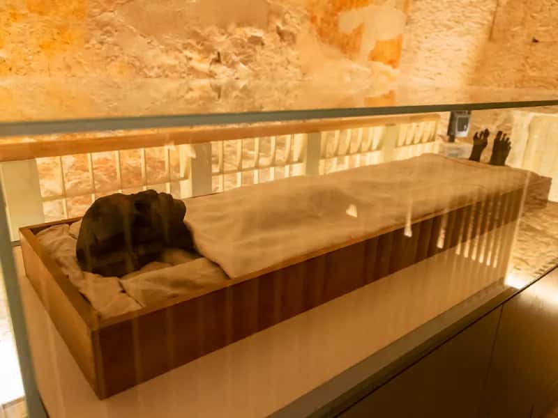 Re Tutankhamon  Re Tutankhamon